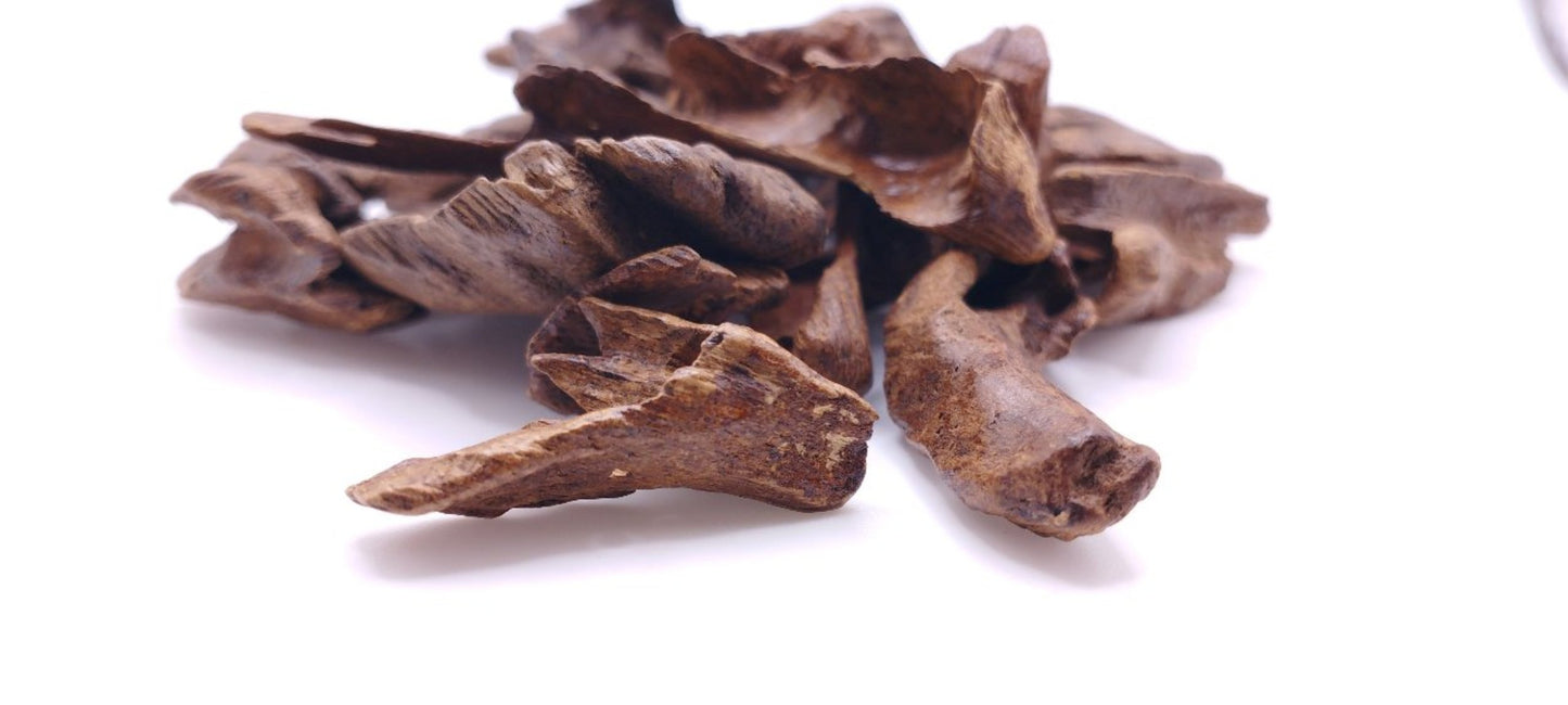 Oud_Adlerholz_Beste_Qualitaet_Gute_Guenstig_Raeuchern_Malaysia