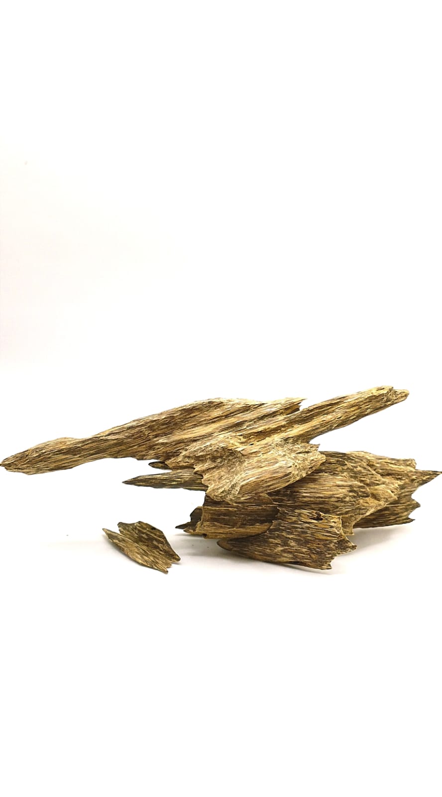 Oud_Wild_Adlerholz_Beste_Qualitaet_Gute_Guenstig_Raeuchern