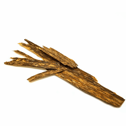 Oud_Adlerholz_Beste_Qualitaet_Gute_Guenstig_Raeuchern_Vietnam